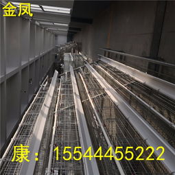珠海金鳳四層養雞設備新報價發布 提升家禽飼養效率與效益