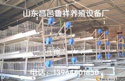 現代家禽養殖新引擎 肉雞籠養設備助力高效生產